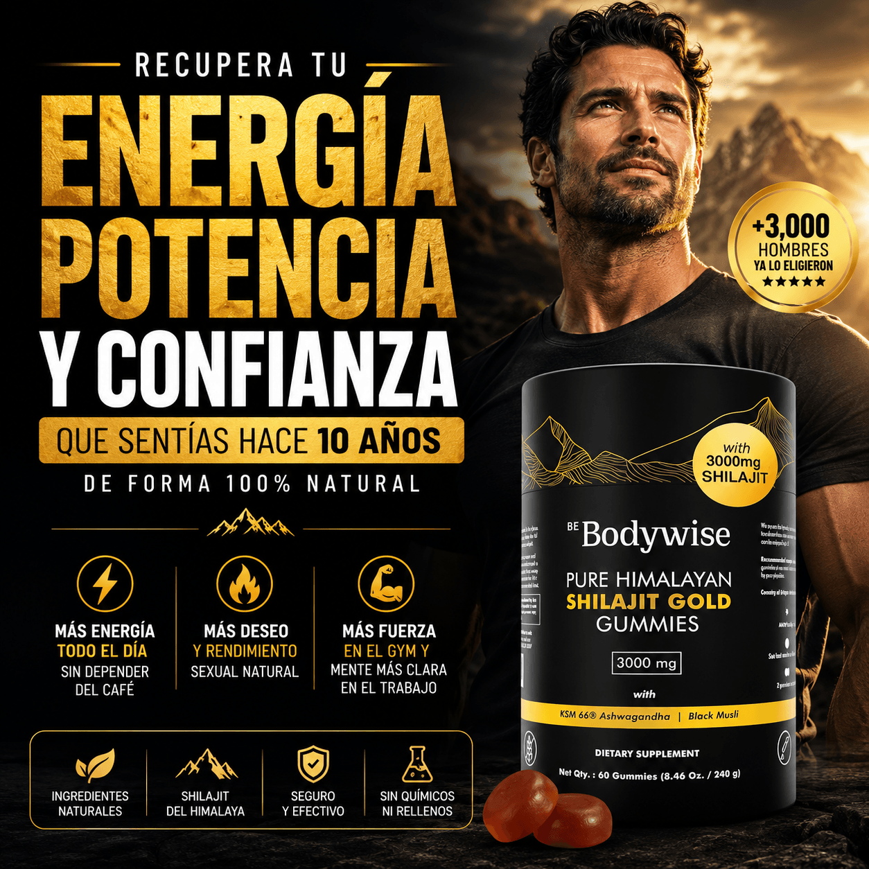 Gomitas de Shilajit del Himalaya – 60 Unidades