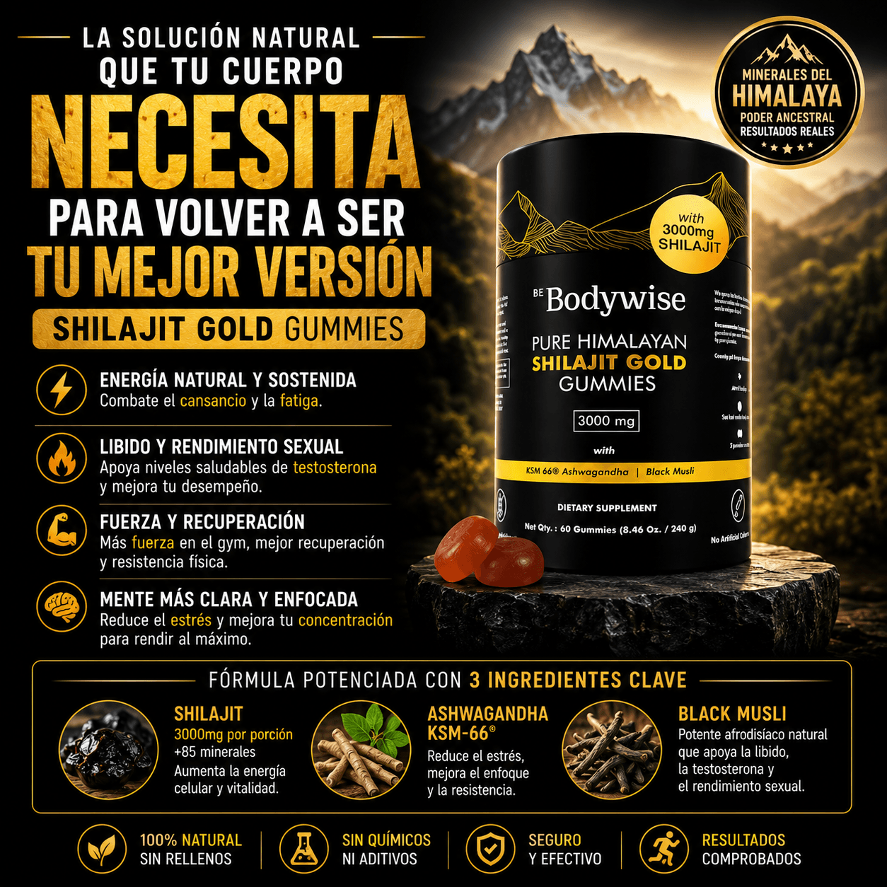 Gomitas de Shilajit del Himalaya – 60 Unidades