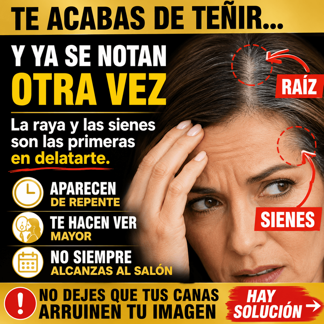 RootFix™ | Oculta Canas en 30 Segundos