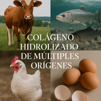 Multicolageno Peptides Polvo